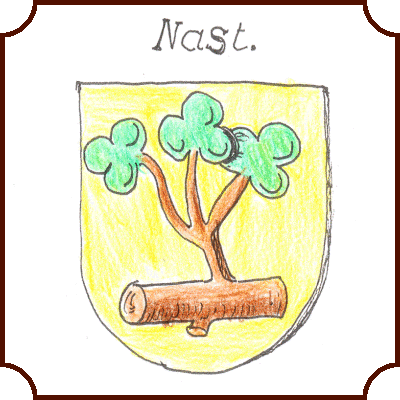 Wappen der Familie Nast