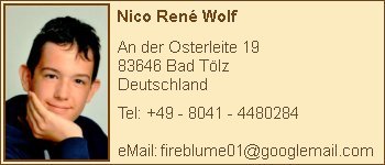 Nico Rene Wolf